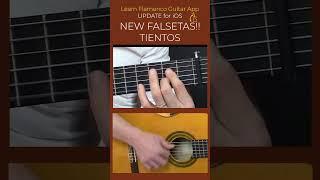 FALSETA por  TIENTOS Aprende Guitarra Flamenca App- Nuevos Palos- Nuevas falsetas