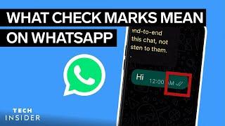 What Do The Check Marks Mean On WhatsApp?  Tech Insider