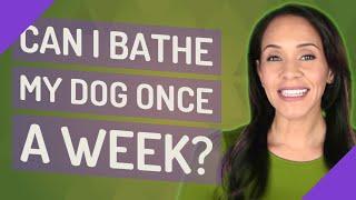 Can I bathe my dog once a week?