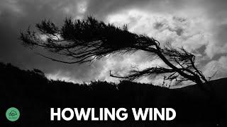 10 HR  HOWLING WIND sounds for sleeping & relaxation  Dark Screen  Black Screen