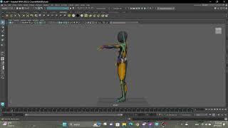 Preview Animation 3D - Humen Animation Rigging