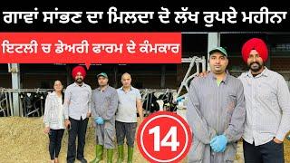 ਇਟਲੀ ਚ ਪਸ਼ੂ ਸਾਂਭਣ ਦਾ ਕੰਮ ਕਰਦੇ ਪੰਜਾਬੀ Dairy Farmer life Italy  Punjabi Travel Couple  Ripan Khushi