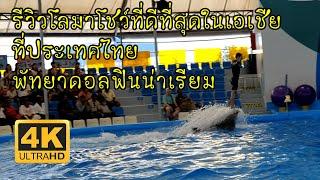 รีวิวโลมาโชว์ที่ดีที่สุดในเอเชียที่ไทย พัทยาดอลฟินน่าเรียม Pattaya Dolphinarium มีแมวน้ำด้วย