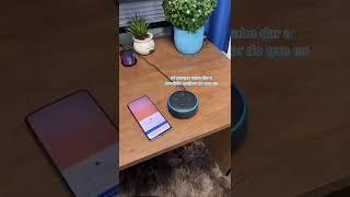 Peguei a Alexa e a Google assistente brigando #alexa