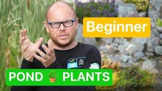 Got Questions About Pond Plants? Weve Got Answers