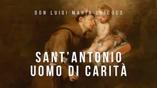 Don Luigi Maria Epicoco - Sant’Antonio uomo di carità