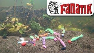 Silicone Fanatik the game of baits under water.