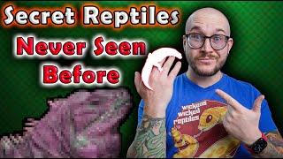 The Secret Reptiles IVE NEVER TOLD YOU ABOUT