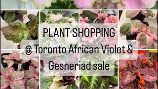 Plant Shopping @ The Toronto African Violet and Gesneriad Annual show & sale