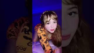 DanyanCat DanyanCatsQ  #tiktok #short #shorts #reels