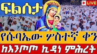 ⭕️Live #ፍልሰታን በገዳም ሦስተኛ ቀን ️️ነሐሴ 3 ️️ቀጥታ ከእንጦጦ ሐመረ ኖኅ ቅድስት ኪዳነምሕረት  Eotc live filseta Aug 9