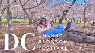 Cherry Blossoms & Kite Fest DC Weekend Vlog