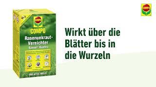 COMPO Rasenunkraut Vernichter Banvel® Quattro