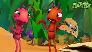 Ant Farm  Antiks   Funny Cartoons for Kids