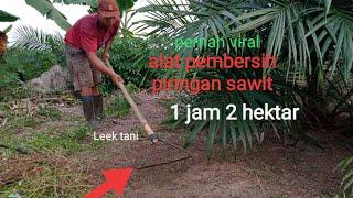 ALAT PEMBERSIH PIRINGAN SAWIT MASIH KECIL CEPAT DAN MUDAH #sawit #kebunsawit #petanisawit