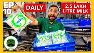 2.5 Lakh Litre Milk Daily  Packet Milk Factory Tour  How Packet Milk is Made  Veggie Paaji