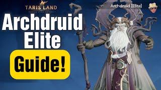 Tarisland Raid Archdruid Elite Guide Step by Step - Bard AOE Heal