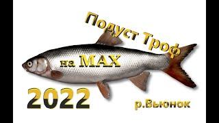 РР4 р.Вьюнок Подуст Троф на МАХ 2022