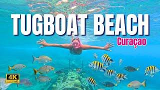 The Ultimate Travel Guide • Tugboat Beach Snorkeling Adventure 2024