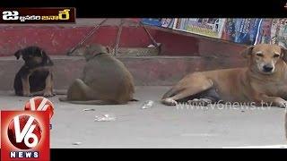 Funny Monkey And Dog Talk  About Aadhaar Card  Jajjanakare Janaare  V6 News