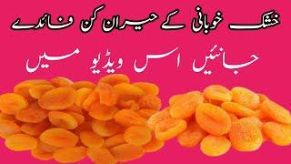 khushk khubani ke fayde  benefits of dried apricots  Villy Information