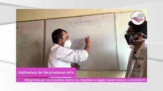 Neurodesarrollo