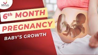 6 Month Baby Growth & Movements Inside The Womb  Fetal Development In 6 Month Of Pregnancy  Mylo