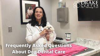 Frequently Asked Questions About Dog Dental Care