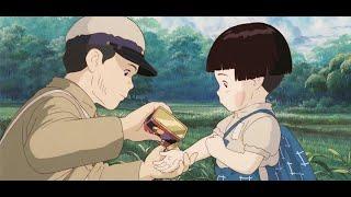 Watching Grave of the Fireflies be like