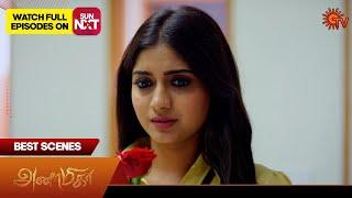 Anamika - Best Scenes  16 June 2024  Tamil Serial  Sun TV