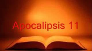 APOCALIPSIS completo Biblia hablada RV 1960