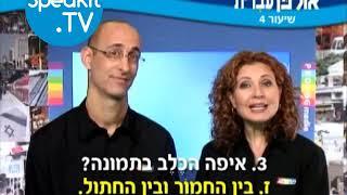 HEBREW - Ulpan Ivrit Lesson 4  אולפן עברית  Speakit.tv 3440-04