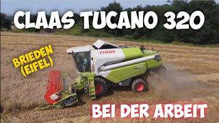 Claas Tucano 320 bei der Arbeit