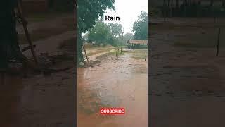 Heavy rain ️ odisha  weather rain in odisha nabarangpur #rain #rainfall