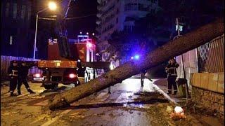 Ураган в Тбилиси город всю ночь очищали от мусора
