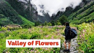 Valley of Flowers Trek  Uttarakhand  Heaven on Earth