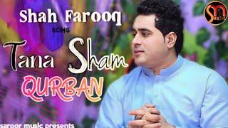 Tana Sham Qurban  Latest Pashto New Songs 2024  Shah Farooq New Songs 2024  Official Music Video