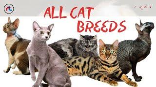 CAT BREEDS  A - Z  All TYPES OF CATS IN THE WORLD