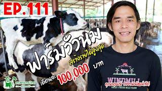 วิศวกรหันมาทำฟาร์มวัวนม สร้างรายได้สูงสุด เดือนละ 100000 บาท l Ep111 เกษตรกรไทยสร้างรายได้