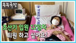 임신 24주조산기로 입원 12일차 일상 브이로그  퇴원하고 싶어요