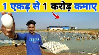 25 साल के लड़के ने एक एकड़ से एक करोड़ कमाए   Duck farm tour