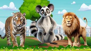 Happy animal moment Tiger Lion Lemur Meerkat Moose Ostrich - Animals sound