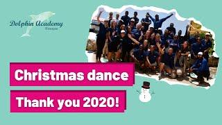 Grateful Christmas Dance ft. Dolphin Academy & Curacao Sea Aquarium