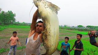 Real Amazing Big Sheat Fish Hunting  Best Polo Fishing