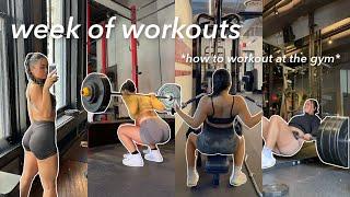 WEEK OF WORKOUTS how to workout at the gym tips to be consistent and motivated & workout wme