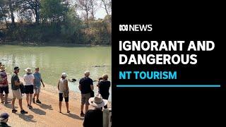 Tourists risking lives to see crocodiles at Cahills Crossing in Kakadu National Park  ABC News