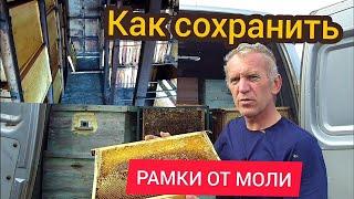 Как можно сохранить сушь пчел от восковой моли и мышей?