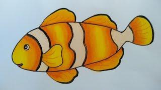 Cara menggambar ikan  menggambar ikan nemo warna warni  menggambar ikan hias