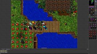 Tibia 7.6 Fortera. 31 Mage with Team does The Explorer Society The Lizard Urn Quest