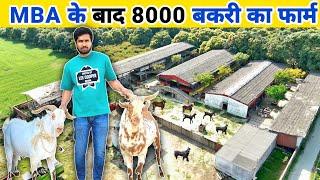 8 हजार बकरी का फॉर्म  उत्तर प्रदेश का सबसे बड़ा Bakri Farm  Biggest Goat Farm